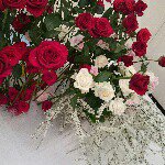 10724988_399712846868182_45097166_a