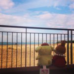 10471882_1576395299299899_536421550_a