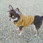 10950456_827590197321407_1619925716_a