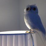 Profile_374423045_75sq_1368257677