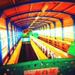 Profile_307762789_75sq_1380730734