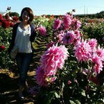 10919495_1616807768552542_1906377740_a