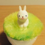 11117068_1565225453727830_1807201428_a