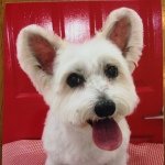 Profile_1242077033_75sq_1396679974