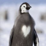 11311320_654714307995803_1392673562_a