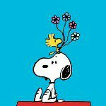 11117169_1428864340756926_1981873761_a