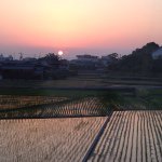 11049140_375250462659227_547058579_a