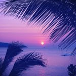 11123896_947837855260879_1759668354_a