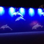 10296950_628229150654061_1061547797_a