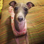 Profile_396489986_75sq_1369823852