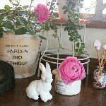 11055414_1638032126415822_238320296_a