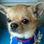 10598504_676255865782234_1394904839_a