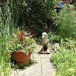 10903352_1525939637658293_195764314_a