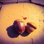 10693352_1509962472584007_141368518_a