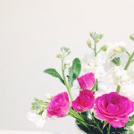 11005188_712147908901926_529591825_a