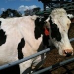 Profile_3639285_75sq_1308320981