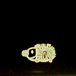 10610990_971231436221048_982070797_a