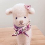 11191421_636777909756922_1098491583_a