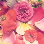 10948830_407846322707104_1827258111_a