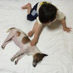 11265697_738681186244919_1408431902_a