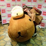 10995167_323344807789938_1308906513_a