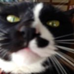 10747910_731373870283278_1064625659_a