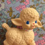 10903656_1399283933701199_339660396_a