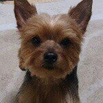 10549746_794291490614902_591612048_a