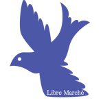 11189125_492819937536819_758919825_a