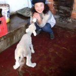 11123892_1715472232000386_295949357_a