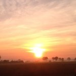 10523590_609844952468183_1240489721_a