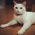 Profile_463213104_75sq_1374844124