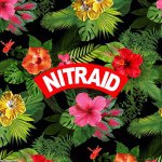 10986345_730147793766008_856858906_a