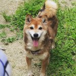 11326229_1616710655237359_1455131209_a