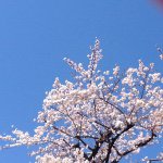 10853101_1049336395092052_245277195_a