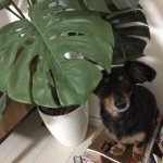 10958474_405117629649751_105574333_a