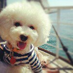 Profile_1424341_75sq_1350810471