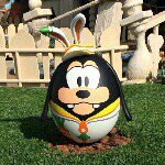 11085067_457285417762628_1327473765_a