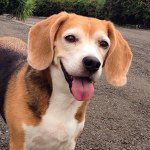 10632108_325124297656006_253959122_a