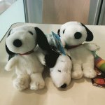 11049173_827735483964620_1926959242_a