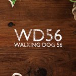 10950448_794504003957748_2064256553_a