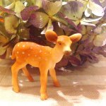 11024156_351271908394552_823733520_a