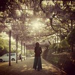 11244788_677855138993036_1418656517_a