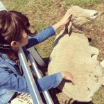 11246917_831884550230740_1605092208_a