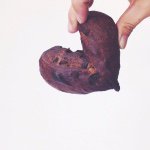 11137901_918498608171540_507314454_a