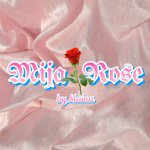 11191129_357306027792700_255154309_a