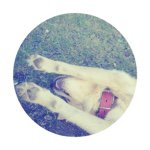 11176477_864279270295220_714396655_a