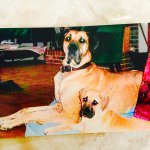 10932346_578620465574910_1862997863_a