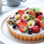 11085157_1639763926259702_1831483308_a