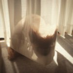 11084698_1573827756227669_809278623_a